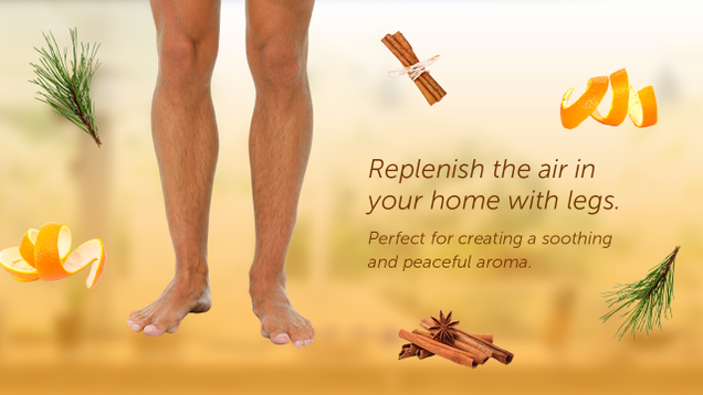 Illustration for article titled 8 Banner Ads For My Own Legs I Have Gotten This Week